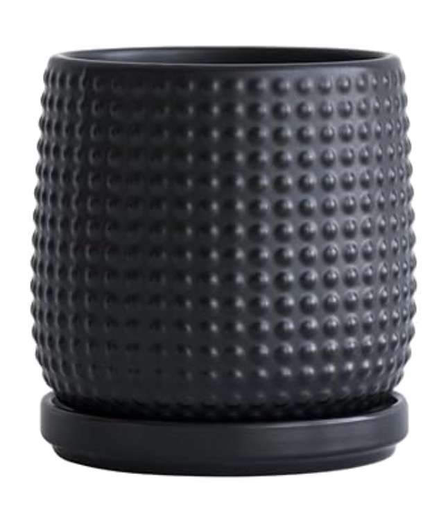 Rental store for BLACK BEADED VASE  4 in Mishawaka IN