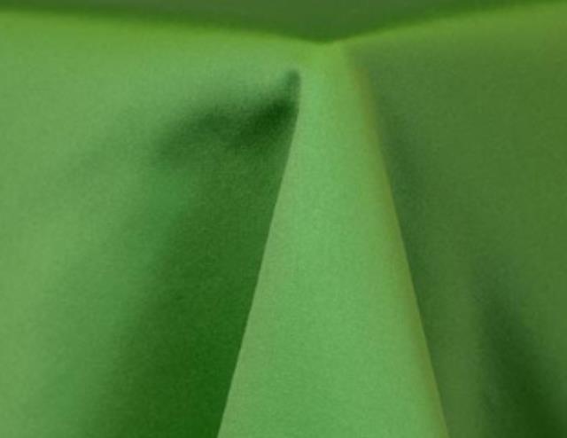 Rental store for 12X108 APPLE MATTE SATIN RUNNER in Mishawaka IN