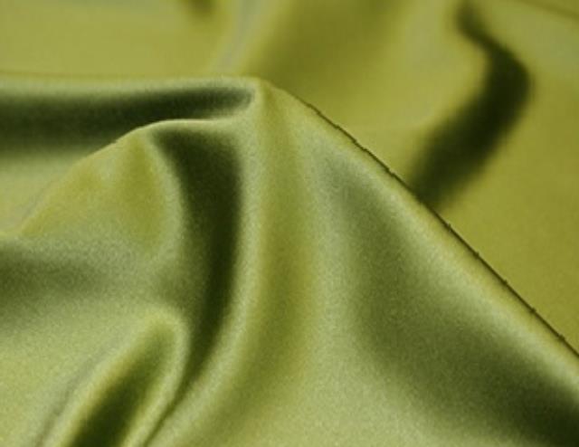 Rental store for MOSS MATTE SATIN NAPKIN in Mishawaka IN