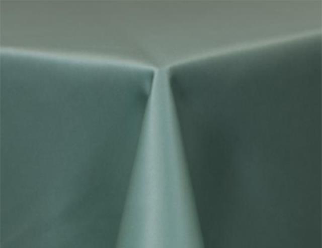 Rental store for MINT MATTE SATIN NAPKIN in Mishawaka IN